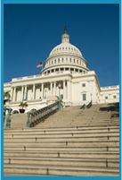 U. S. Capitol building as seen from the bottom of the stairs.